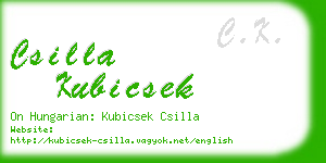 csilla kubicsek business card